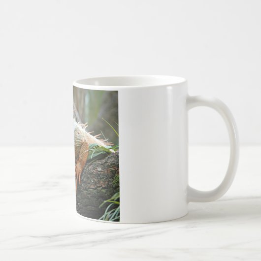 イグアナのマグ コーヒーマグカップ (右)