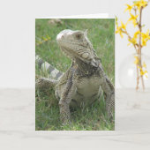 イグアナの挨拶状 カード (黄色い花)