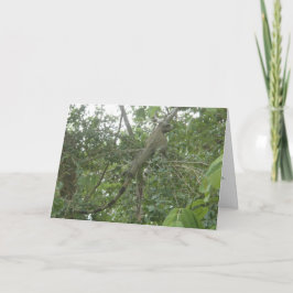 イグアナの挨拶状(版を細くする) カード