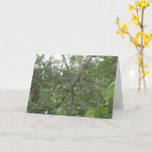 イグアナの挨拶状(版を細くする) カード (黄色い花)