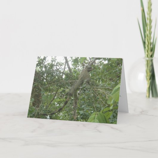 イグアナの挨拶状(版を細くする) カード (正面)