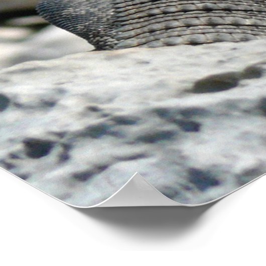 イグアナの日 ポスター (角)