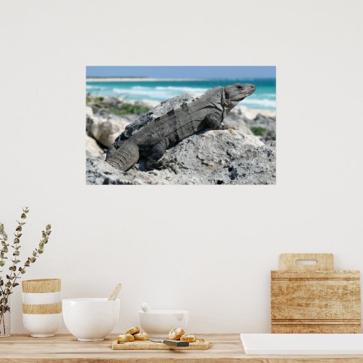 イグアナの日 ポスター (キッチン)