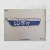 イグアナの砂の彫刻の郵便はがき ポストカード (裏面)