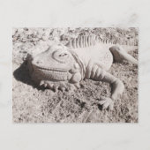 イグアナの砂の彫刻の郵便はがき ポストカード (正面)