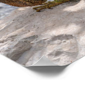 イグアナオンストーン ポスター (角)