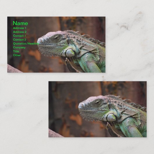 イグアナカラフル付き名刺 名刺 (正面/裏面)