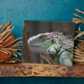 イグアナカラフル頭付きプラーク フォトプラーク (側面)