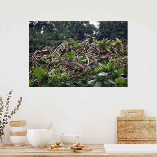 イグアナツリー ポスター (キッチン)