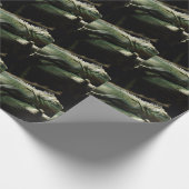 イグアナデリカシマ ラッピングペーパー (角)