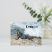 イグアナリザード爬虫類カンクンメキシコ ポストカード (スタンド正面)
