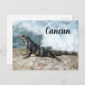 イグアナリザード爬虫類カンクンメキシコ ポストカード (正面/裏面)