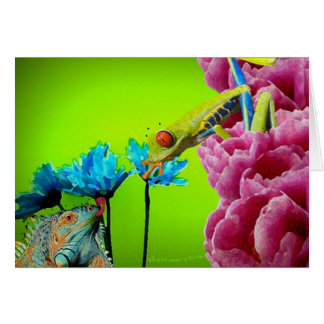 イグアナ及びカエル