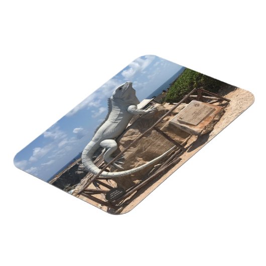 イグアナ彫刻イスラムジェレス，メキシコフォトマグネット マグネット (左側)