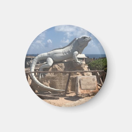 イグアナ彫刻イスラムジェレス,メキシコマグネット マグネット (正面)