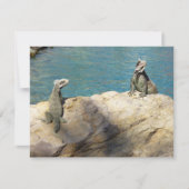 イグアナ熱帯野生動物写真ペア (正面)