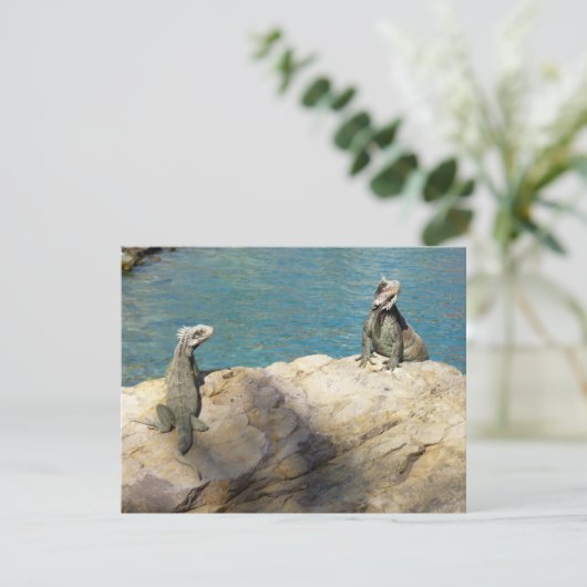 イグアナ熱帯野生動物写真ペア (スタンド正面)