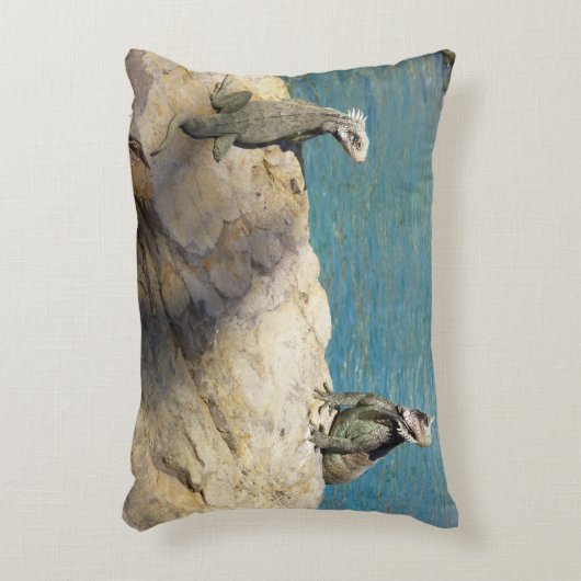 イグアナ熱帯野生動物写真ペア アクセントクッション (正面(垂直))
