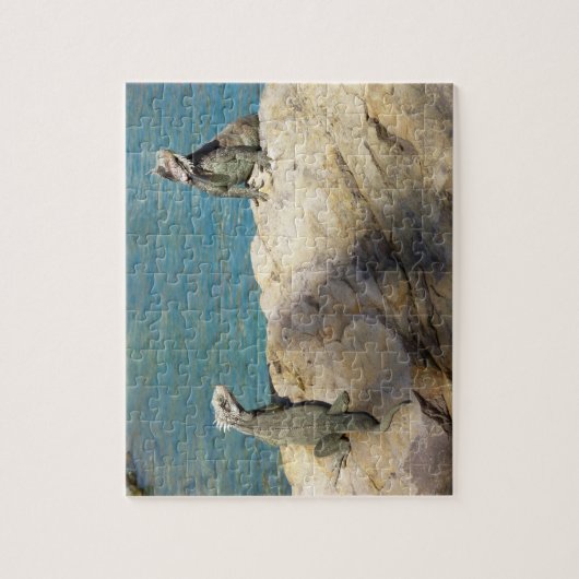 イグアナ熱帯野生動物写真ペア ジグソーパズル (縦)