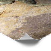 イグアナ熱帯野生動物写真ペア ポスター (角)