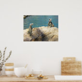 イグアナ熱帯野生動物写真ペア ポスター (キッチン)