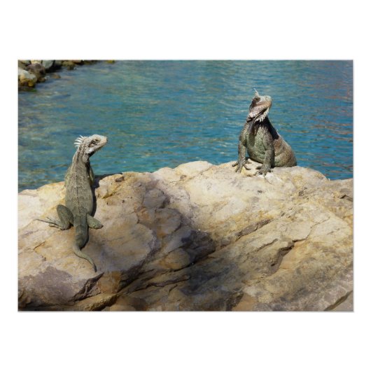 イグアナ熱帯野生動物写真ペア ポスター (正面)