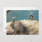 イグアナ熱帯野生動物写真ペア ポストカード (正面/裏面)