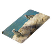 イグアナ熱帯野生動物写真ペア マグネット (左側)