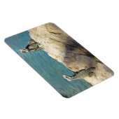 イグアナ熱帯野生動物写真ペア マグネット (右側)