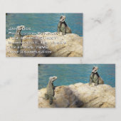 イグアナ熱帯野生動物写真ペア 名刺 (正面/裏面)