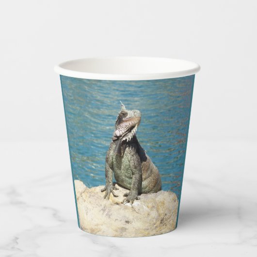 イグアナ熱帯野生動物写真ペア 紙コップ (正面)