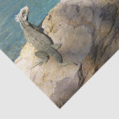 イグアナ熱帯野生動物写真ペア 薄葉紙 (詳細)