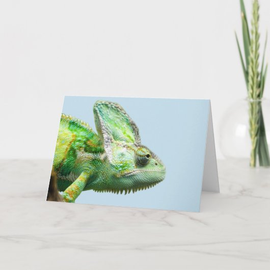 イグアナ誕生日カード カード (正面)