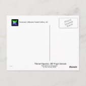 イグアナ鮮やかポストカード、米国ヴァージン諸島 ポストカード (裏面)