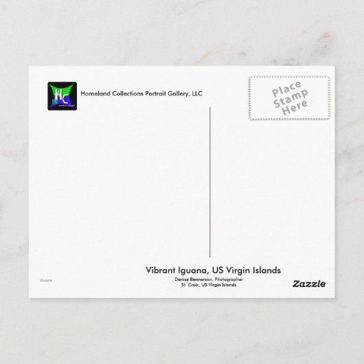 イグアナ鮮やかポストカード、米国ヴァージン諸島 ポストカード (裏面)
