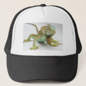 イグアナ キャップ (正面)