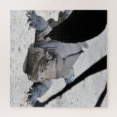 イグアナ ジグソーパズル (横)