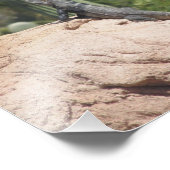 イグアナ フォトプリント            (角)