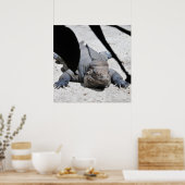 イグアナ ポスター (キッチン)