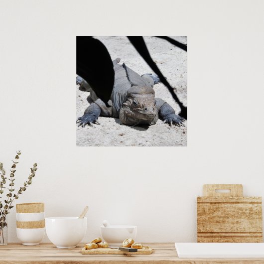 イグアナ ポスター (キッチン)