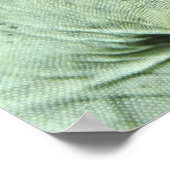 イグアナ ポスター (角)