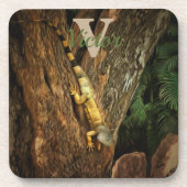 イグアナBucerias 1069 コースター (正面)