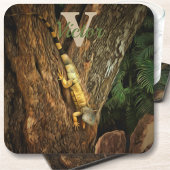 イグアナBucerias 1069 コースター