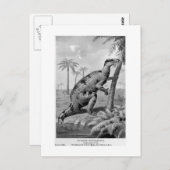 イグアノドン・ベルニッサルテンシス絵葉書 ポストカード (正面/裏面)