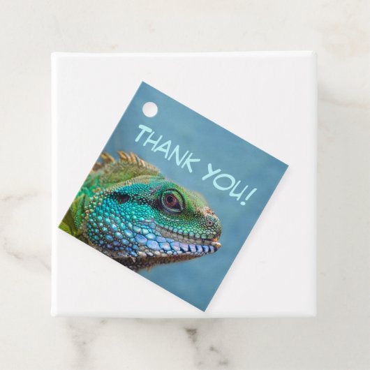 イグカラフルアナありがとう フェイバータグ (インサイチュ)