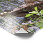 イグサの中のカモを警戒させる。 フォトプリント            (角)