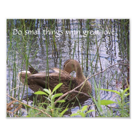 イグサの中のカモを警戒させる。 フォトプリント            (正面)