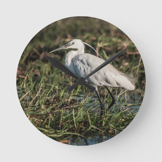 イグリッド ラウンド壁時計 (正面)