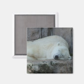 イケベルグの夢 マグネット (正面/裏面)