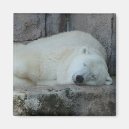 イケベルグの夢 マグネット